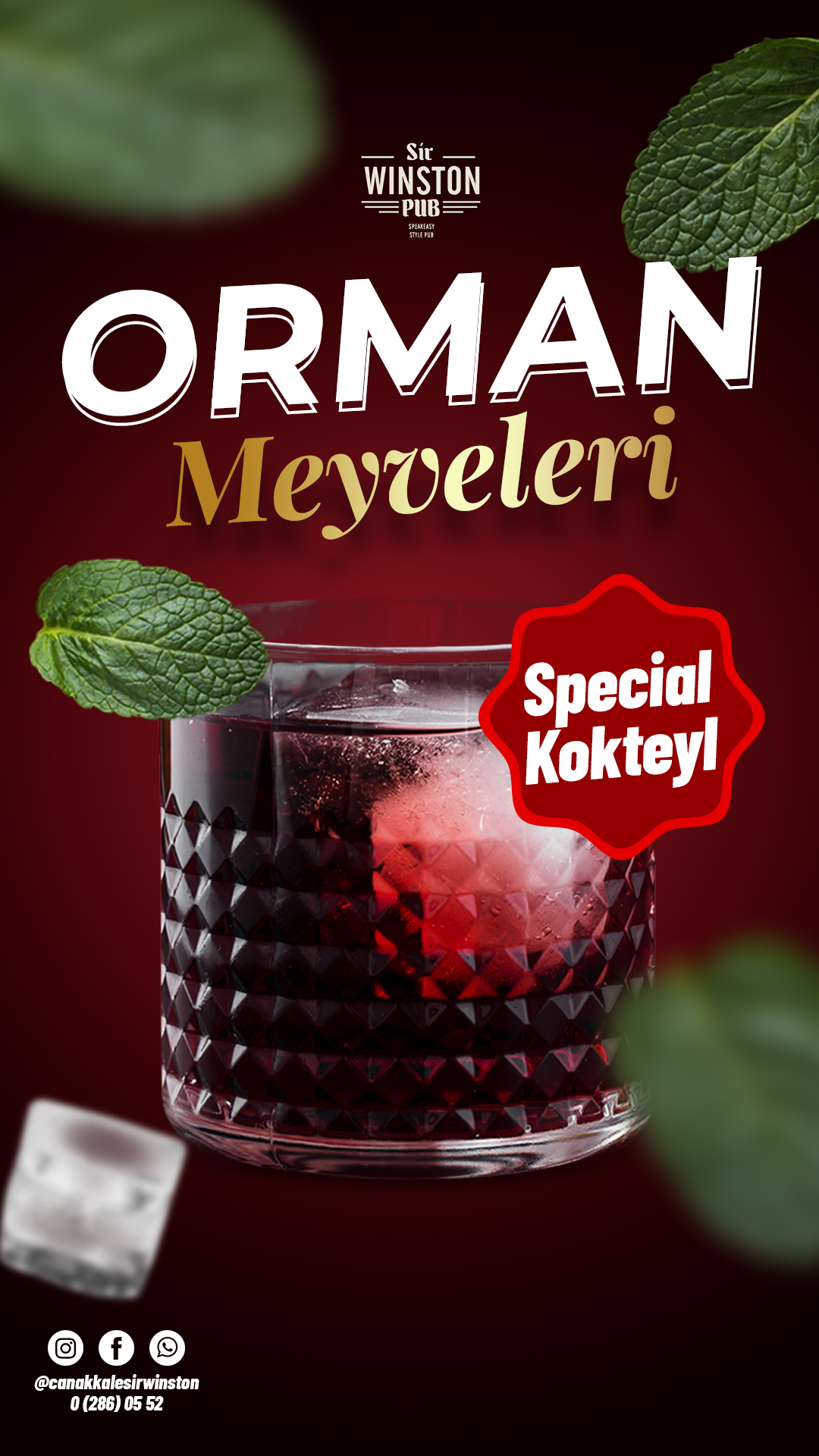Orman meyveleri